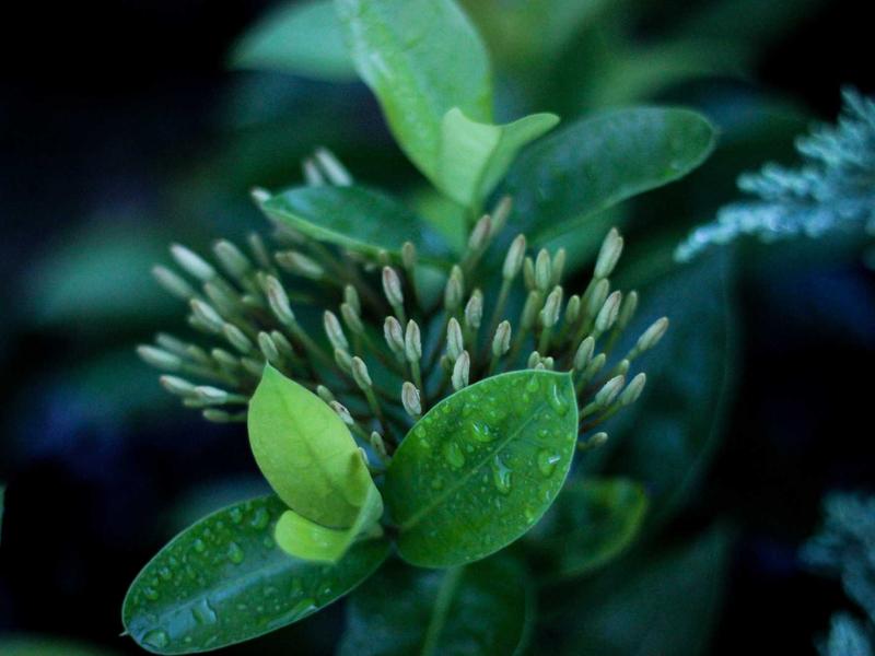 Bài viết Mockup số 5: Hướng dẫn tối ưu quy trình làm việc mới