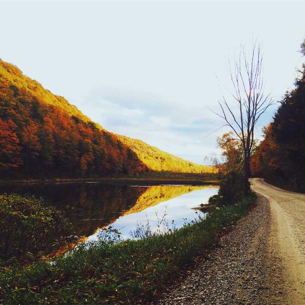 Sản phẩm Công nghệ 6